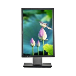 Monitor Dell P1911B 19" LCD Outlet 5ms 1440x900