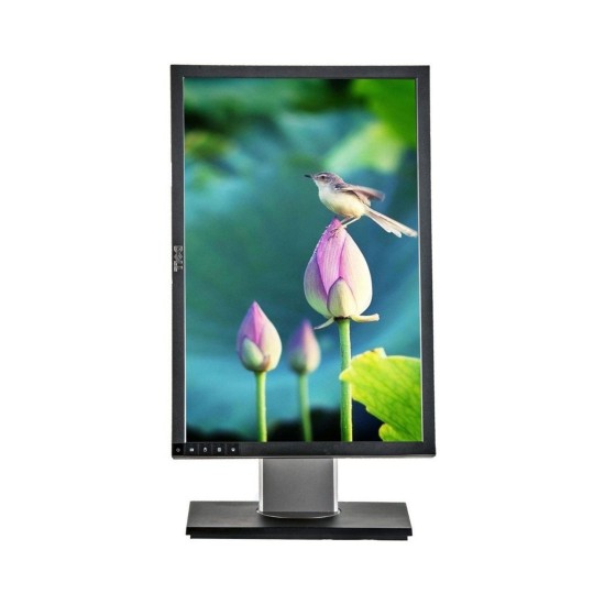 Monitor Dell P1911B 19" LCD Outlet 5ms 1440x900