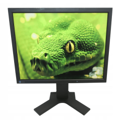 Monitor Eizo FlexScan L885 20.1" UXGA LCD A+ en Oferta