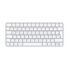 Apple Magic Keyboard A2450, 2021, Plata, A+