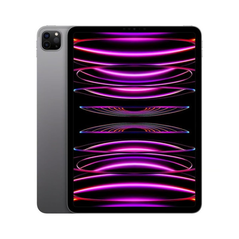 Apple iPad Pro 11" (2022) 4ª Gen/M2 · 256GB-Gris/WiFi+5G