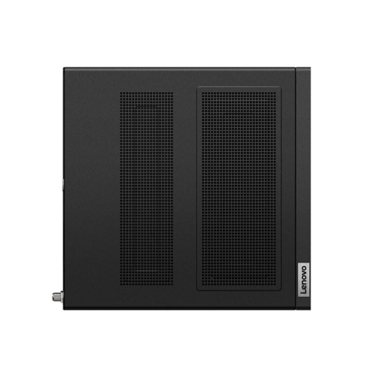 Lenovo ThinkStation P350 Tiny i5-11400 8GB SSD 256GB Mini PC